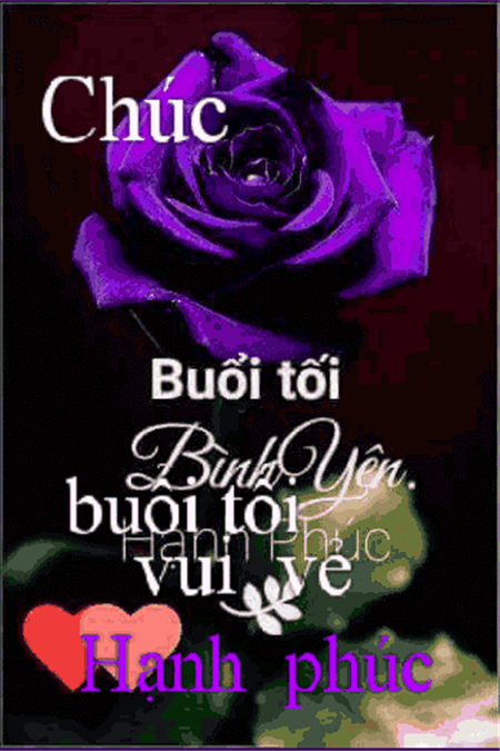 Duy Đặng