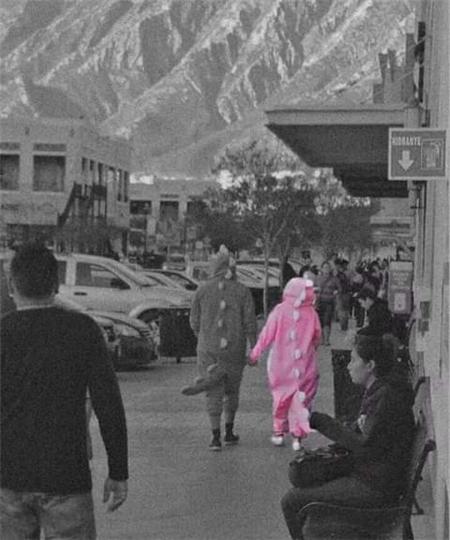 bich thy tran